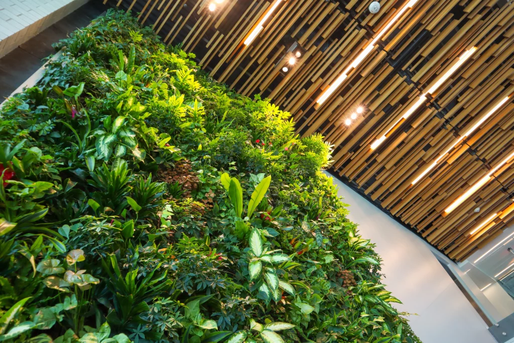 Net Zero Carbon Buildings