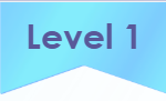 Level 1 Icon