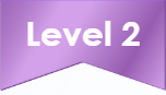 Level 2 Icon